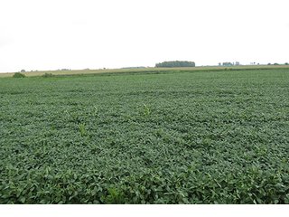 Tract 5 - OHIO REAL ESTATE AUCTION, 198+/- Acres offered in 6 Tracts